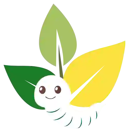 budidaya maggot bsf jakarta