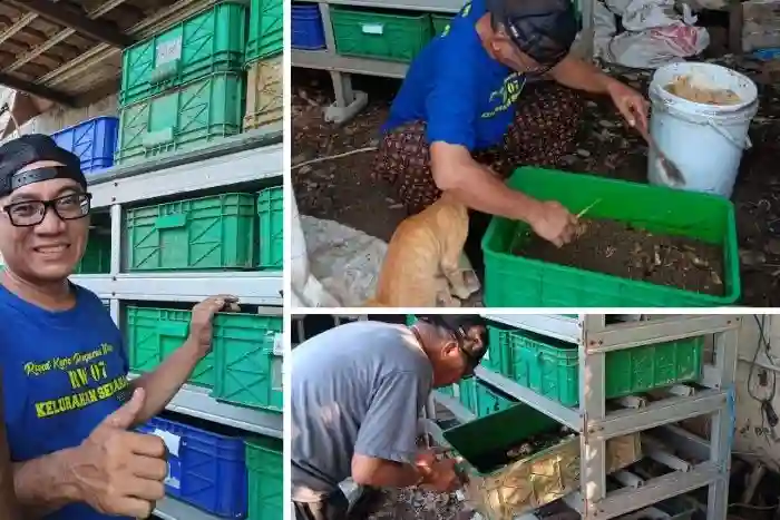Pelatihan Maggot Jakarta