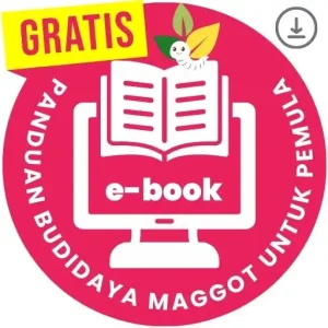 budidaya maggot pemula pdf