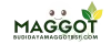 budidaya maggot – budidaya maggot terdekat – budidaya maggot skala kecil – budidaya maggot pemula – maggot BSF- budidaya maggot BSF – pengolahan sampah organik