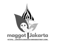 Pendampingan CSR Maggot