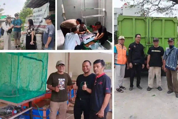 Pelatihan Onsite Maggot
