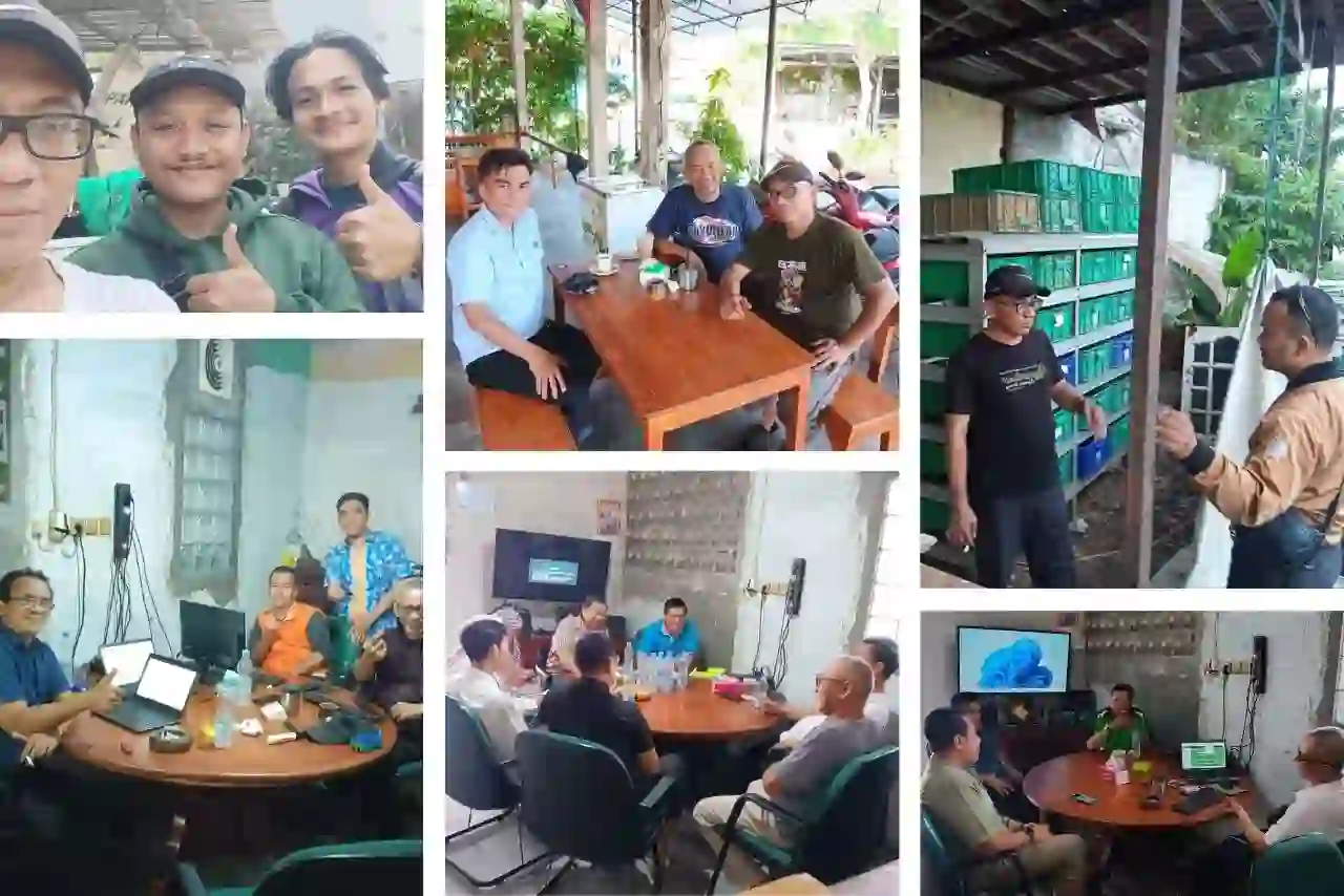 Pelatihan Onsite Maggot, urban farming maggot