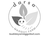 darsa maggot farm