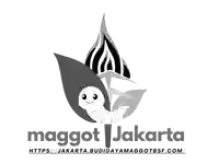 Pendampingan CSR Maggot