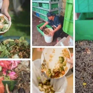 Pelatihan Onsite Maggot